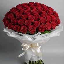 Букет 101 Красная роза Блэк Мэджик в Геленджике
