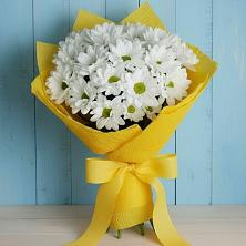 Букет цветов из:  Хризантемы в Геленджике