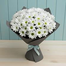 Букет цветов из:  Хризантемы в Геленджике