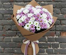 Букет цветов из:  Хризантемы в Геленджике