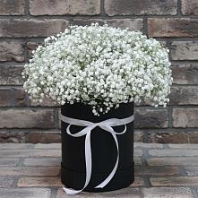 Цветочная композиция из Гипсофила в шляпной коробке в Геленджике