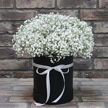 Цветочная композиция из Гипсофила в шляпной коробке в Геленджике