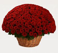 Премиум букет из: Розы в Геленджике