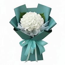 Букет цветов из:  Гортензия в Геленджике
